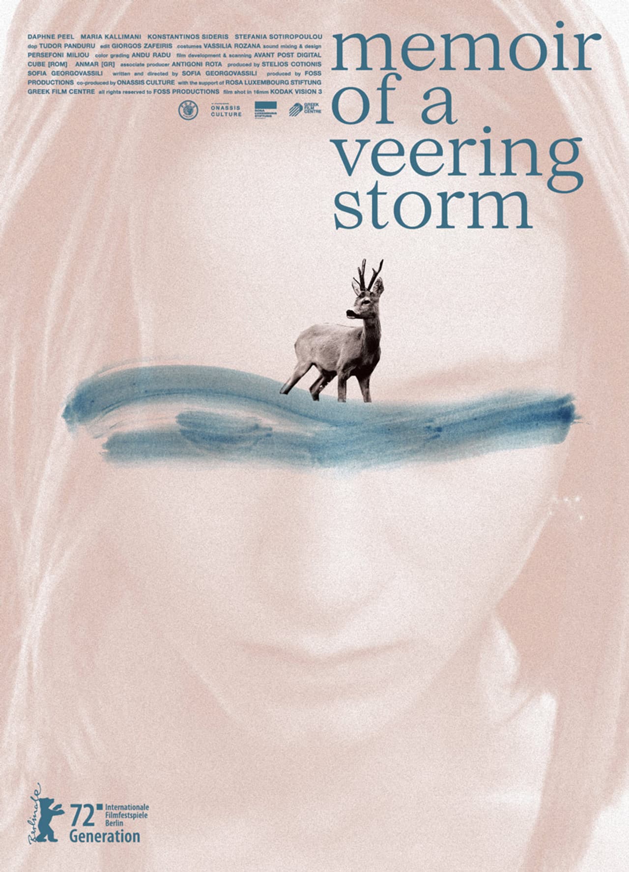 Memoir of a Veering Storm preview 1