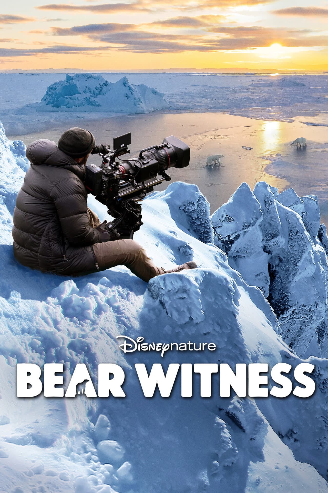 Bear Witness preview 2