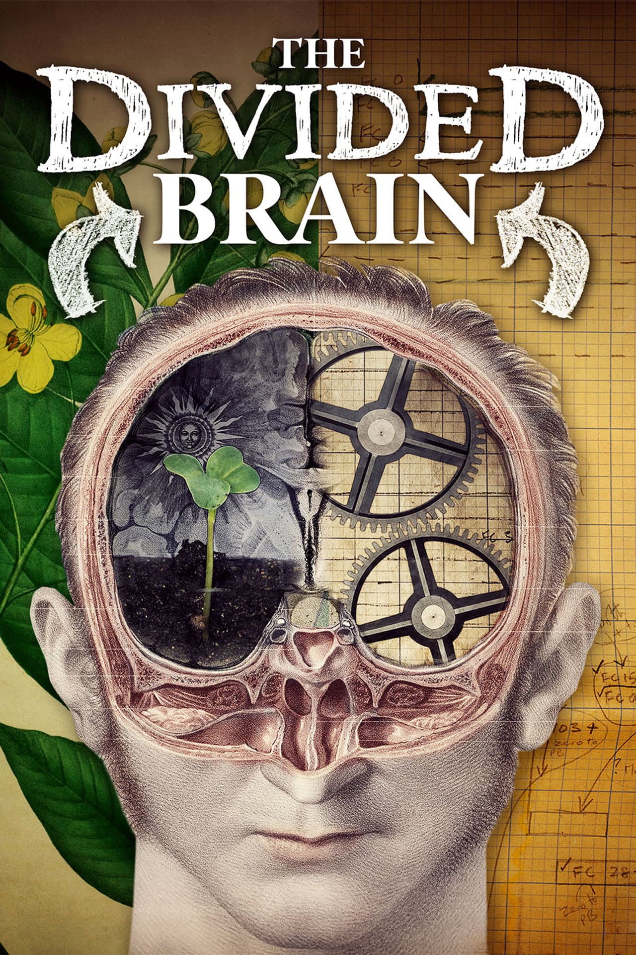 The Divided Brain preview 2