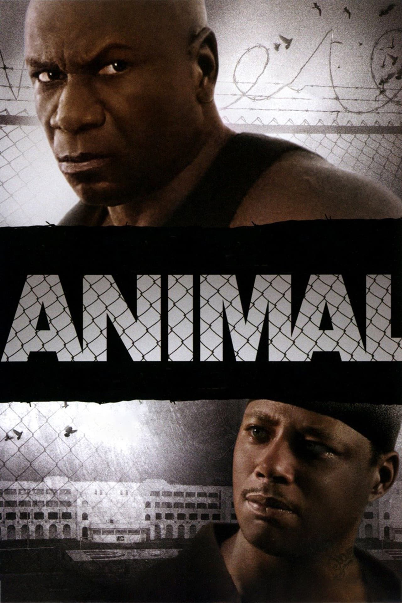 Animal preview 2