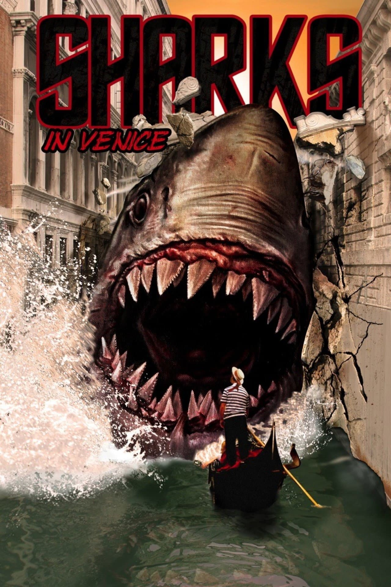 Sharks in Venice preview 2