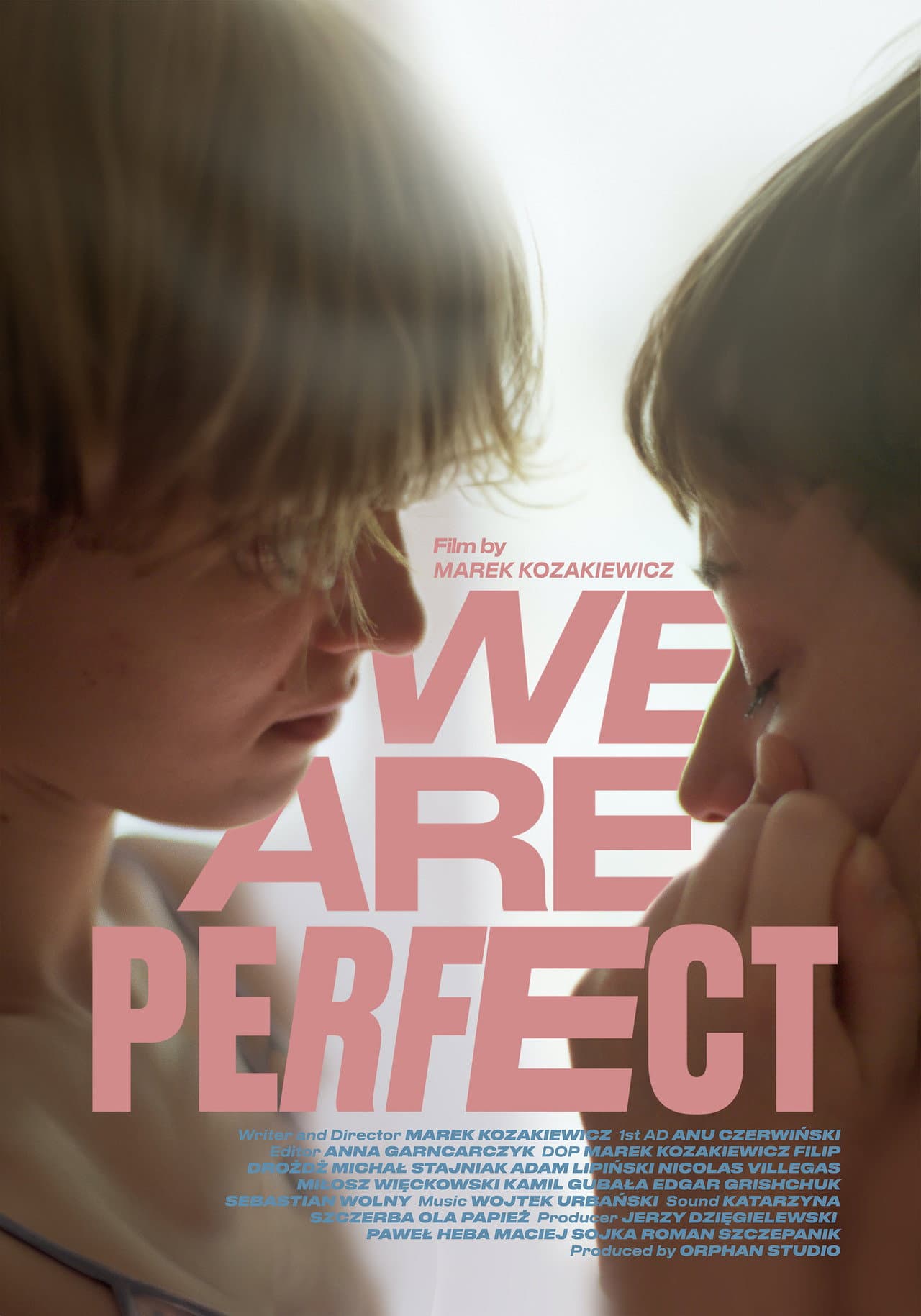 We Are Perfect preview 2