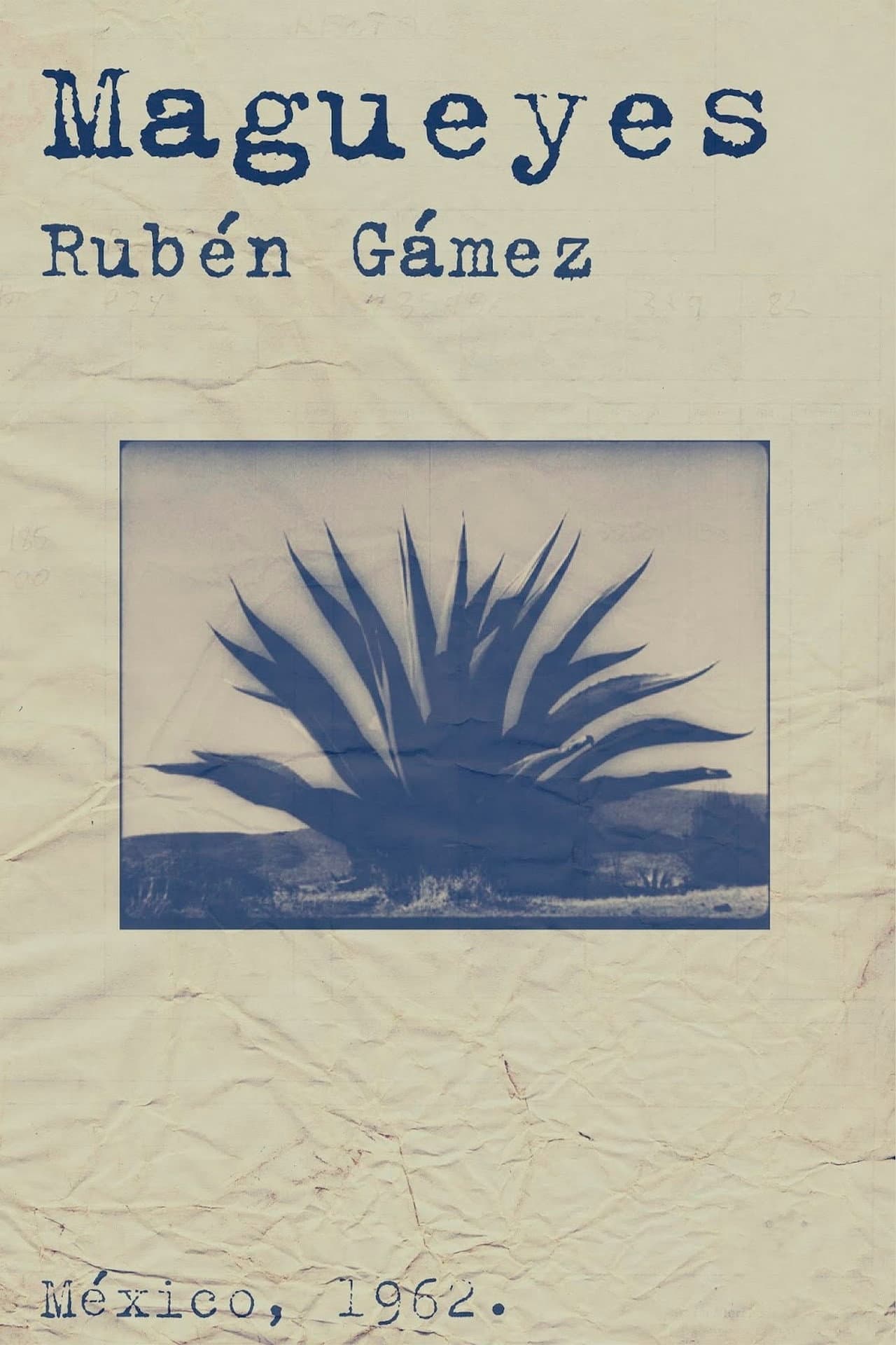 Magueyes preview 2
