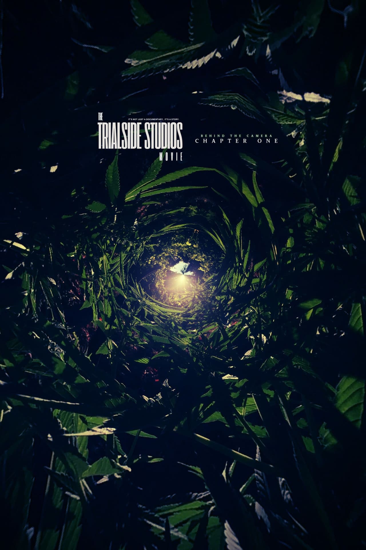 The Trialside Studios Movie: Behind the Camera (Chapter One) preview 1