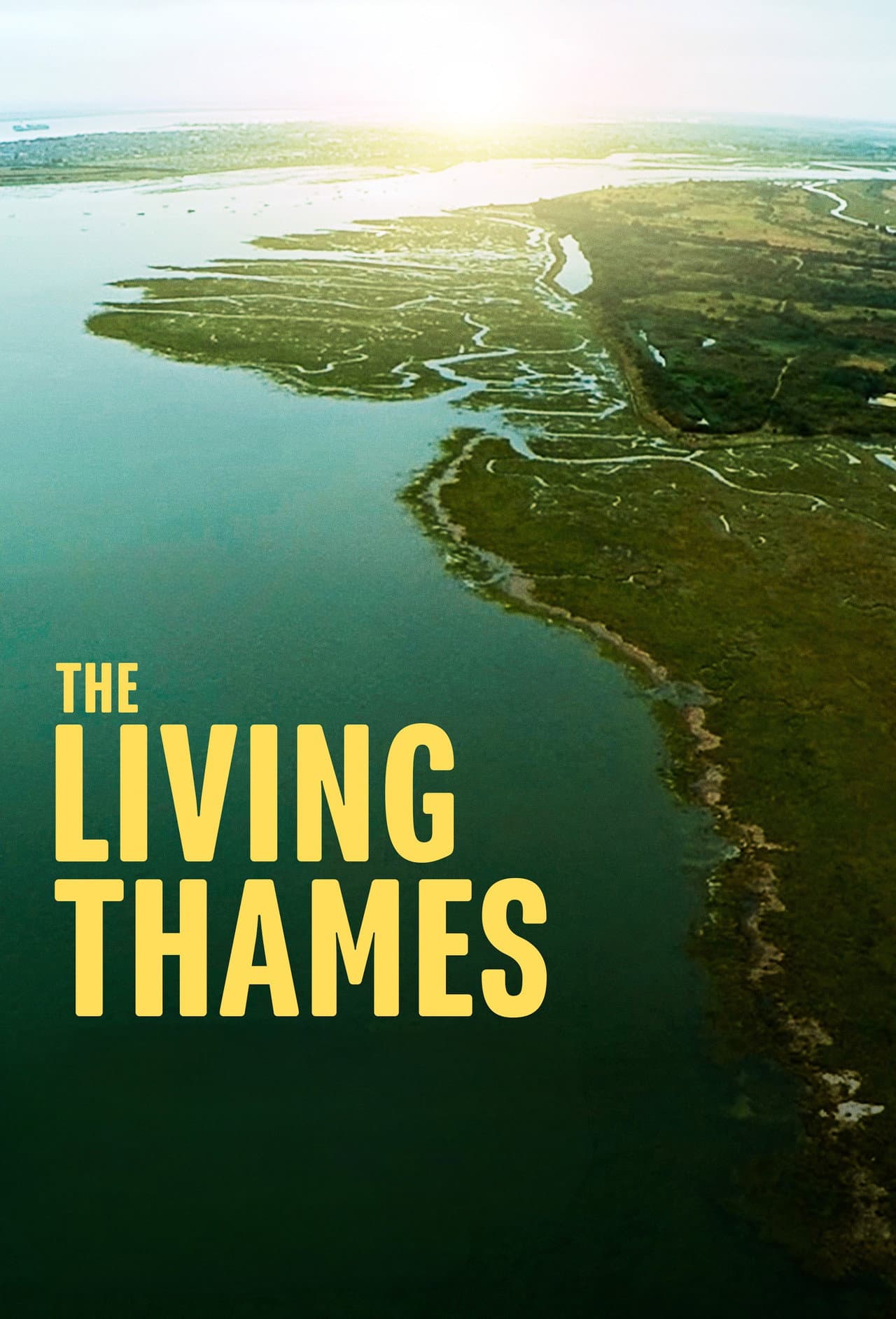 The Living Thames preview 2