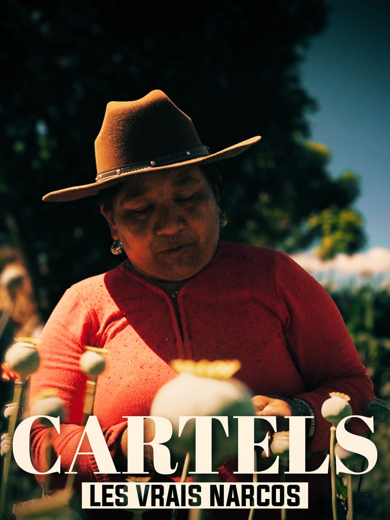 Les vrais Narcos preview 2