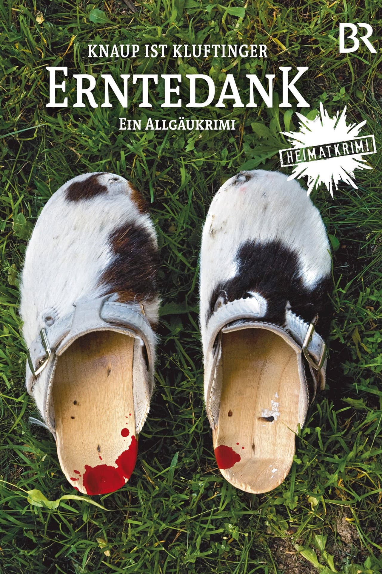 Erntedank - Ein Allgäu-Krimi preview 2