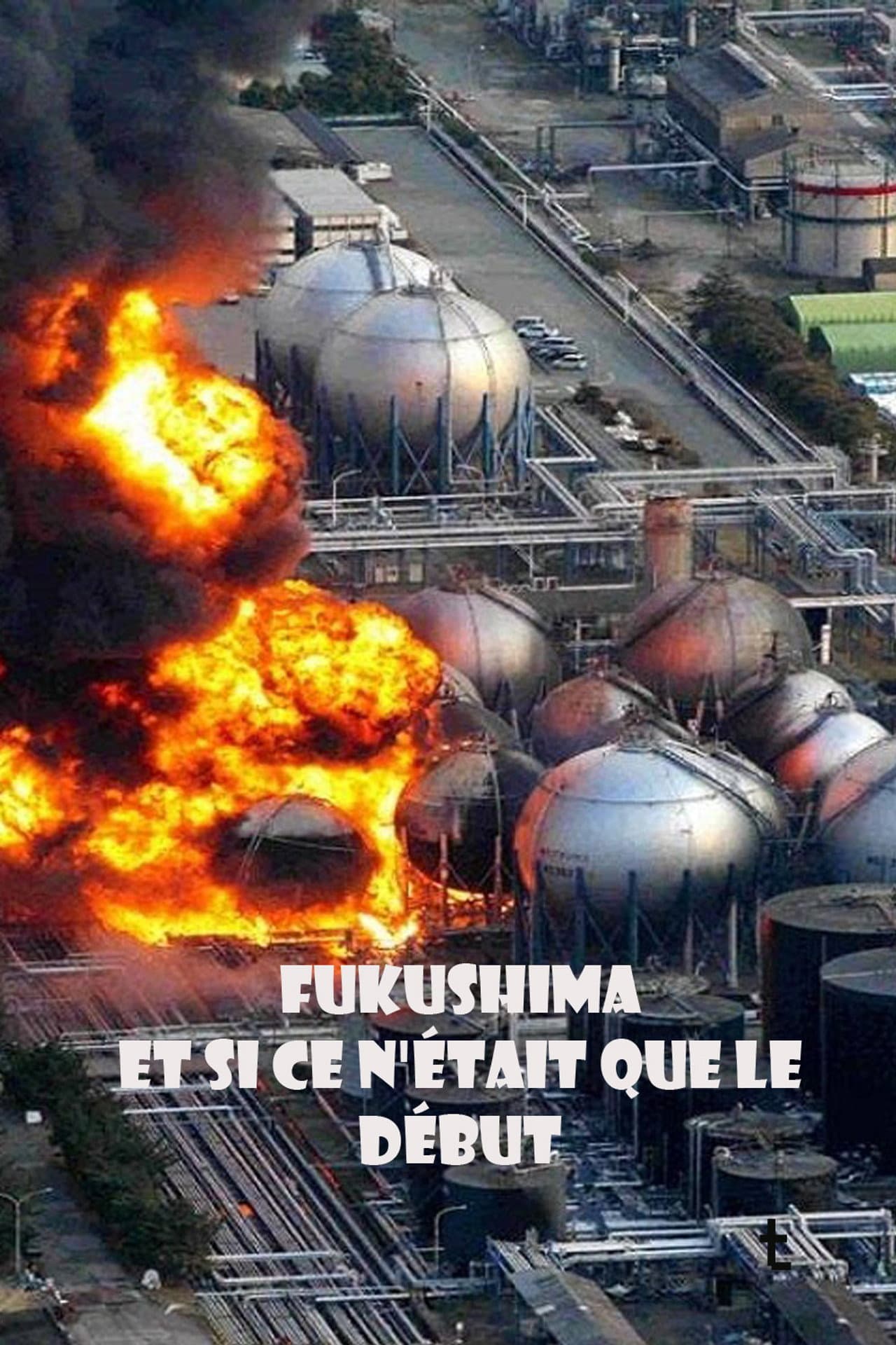 Fukushima: Is Nuclear Power Safe? preview 1