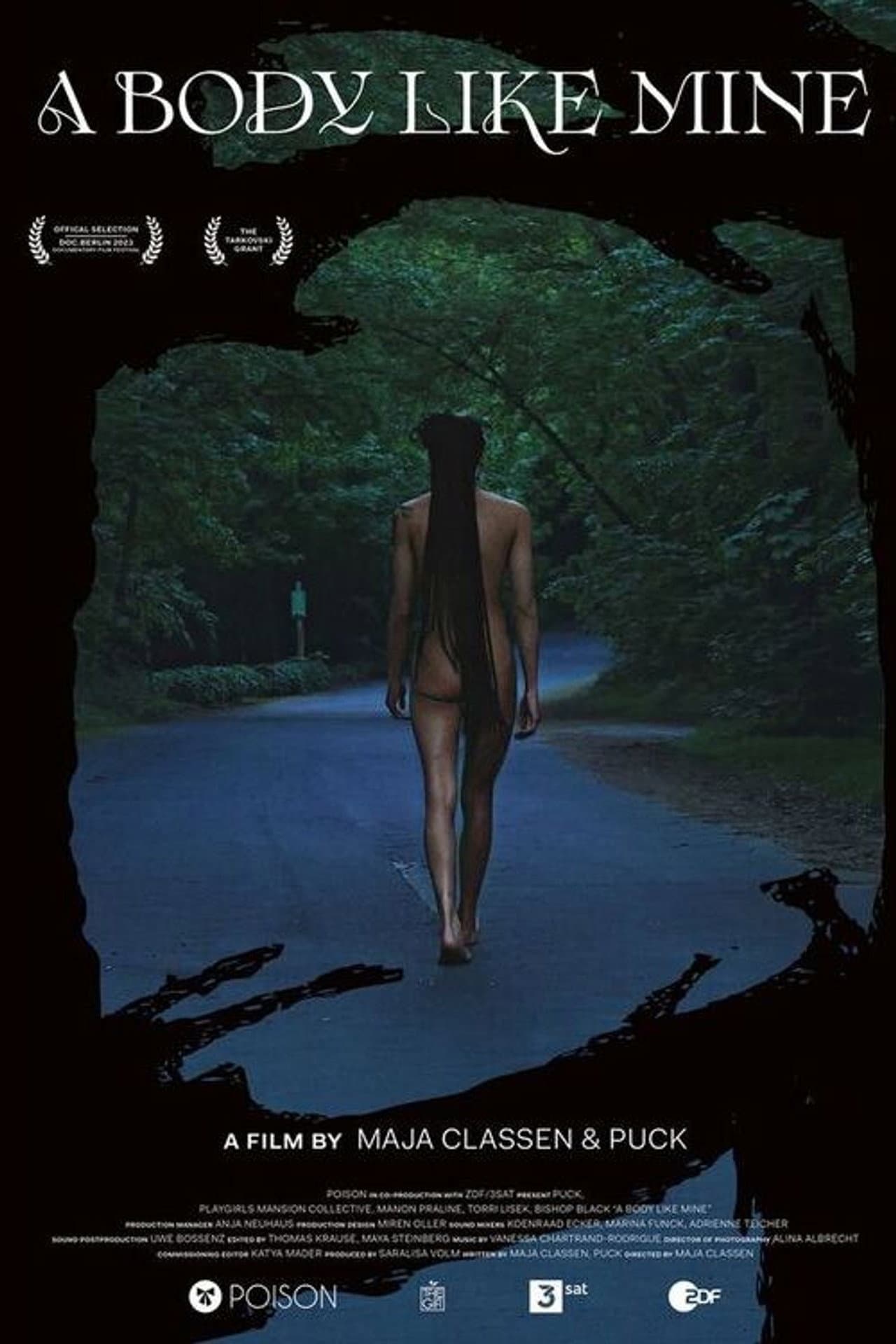A Body Like Mine preview 2