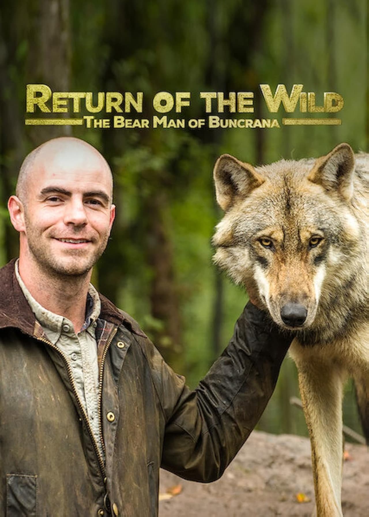 Return of the Wild: The Bearman of Buncrana preview 2