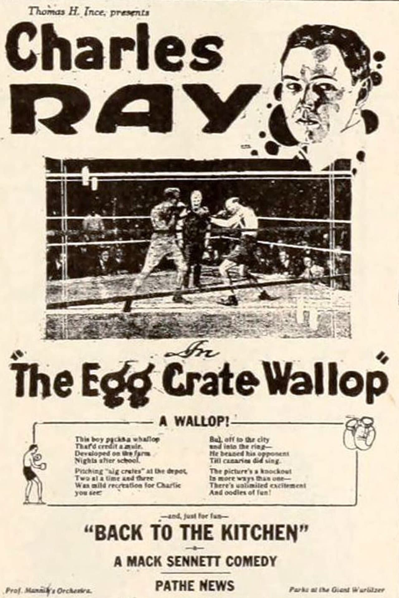 The Egg Crate Wallop preview 2