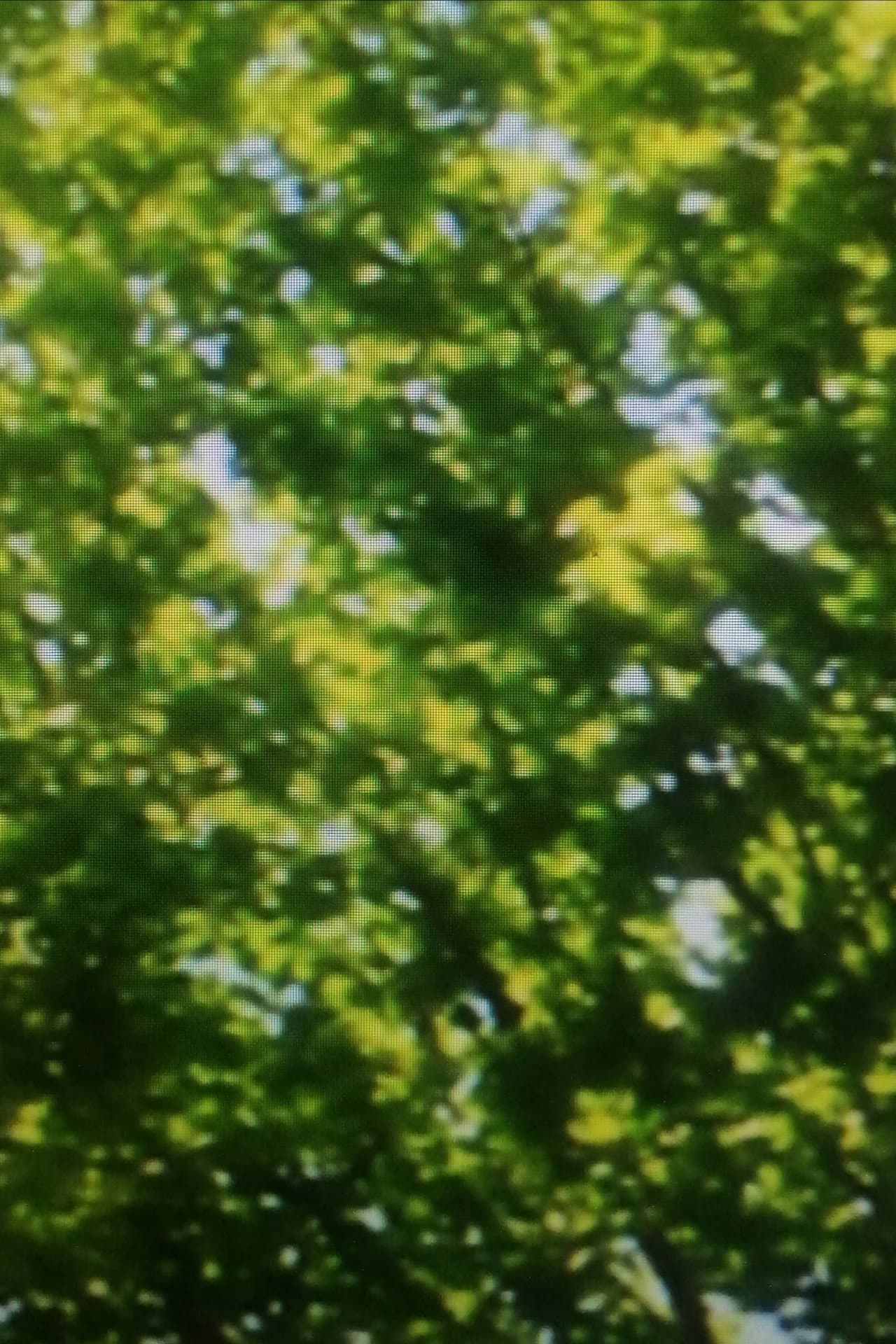 Green Leaves preview 1