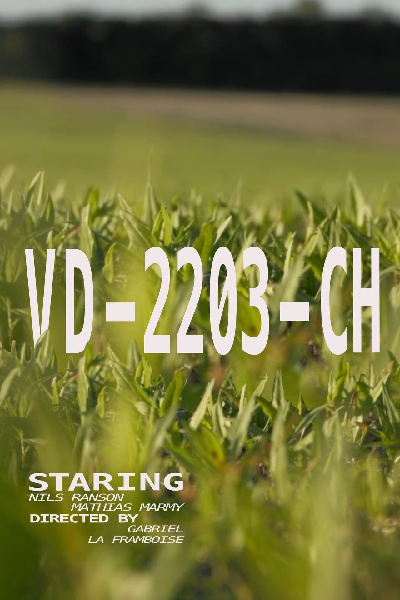 VD - 2203 - CH preview 1