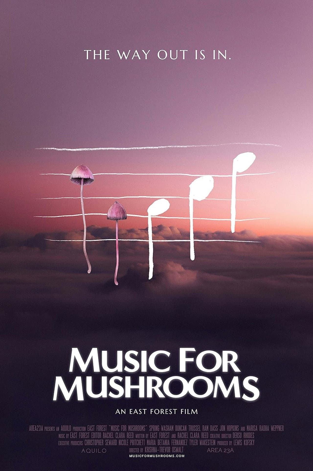 Music for Mushrooms preview 2