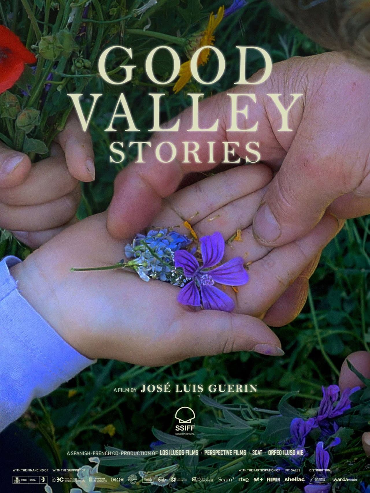 Good Valley Stories preview 2