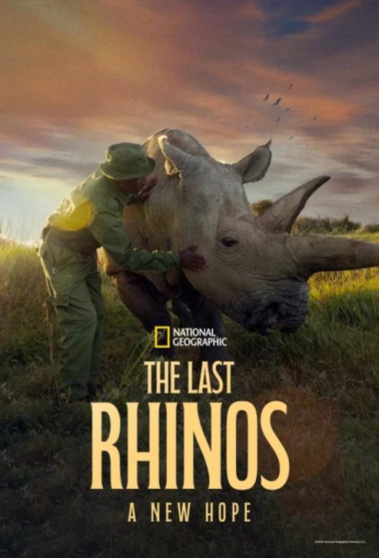 The Last Rhinos: A New Hope preview 2