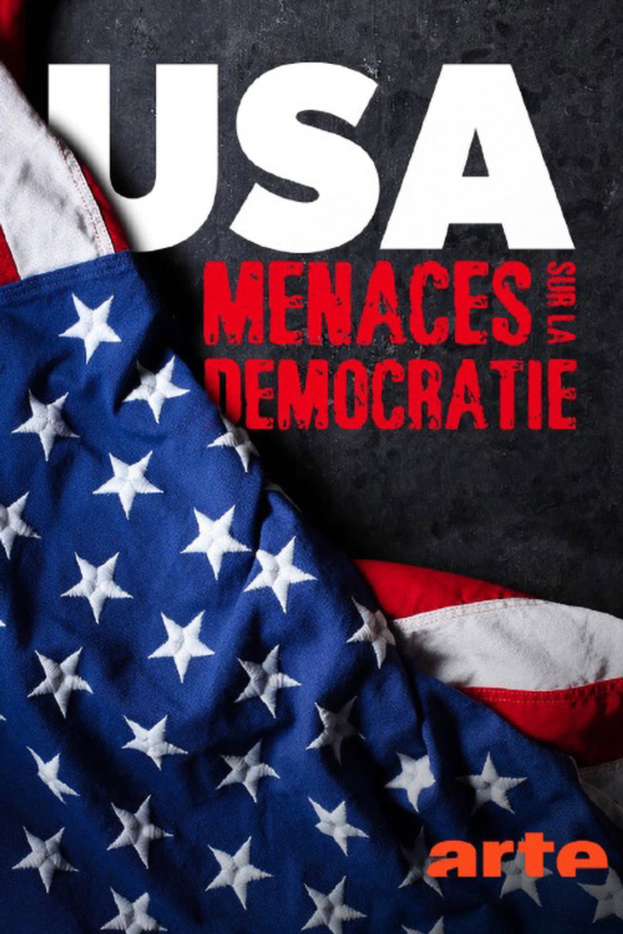Democracy at the limit? America's uncertain future preview 2