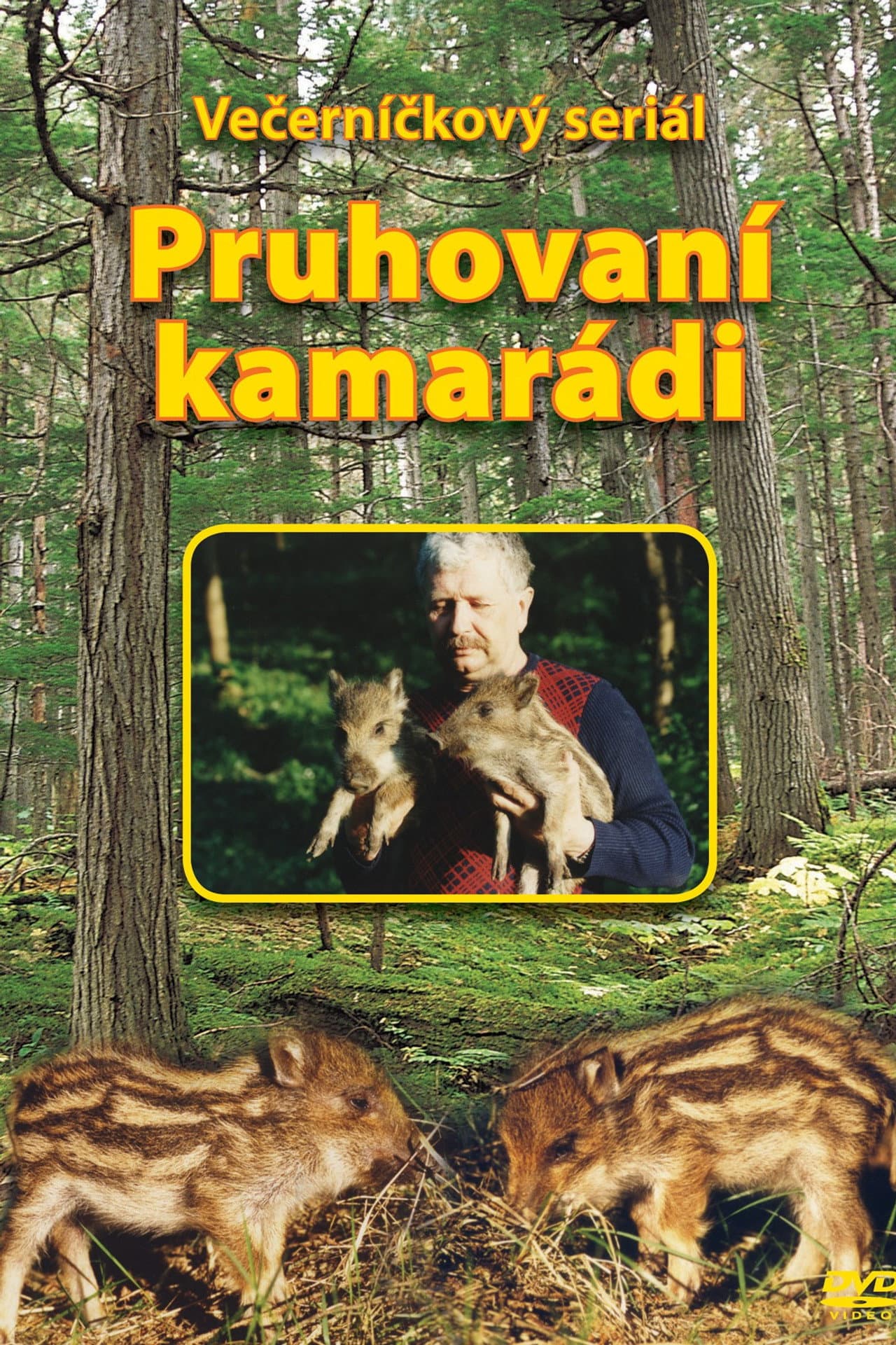 Pruhovaní kamarádi preview 1
