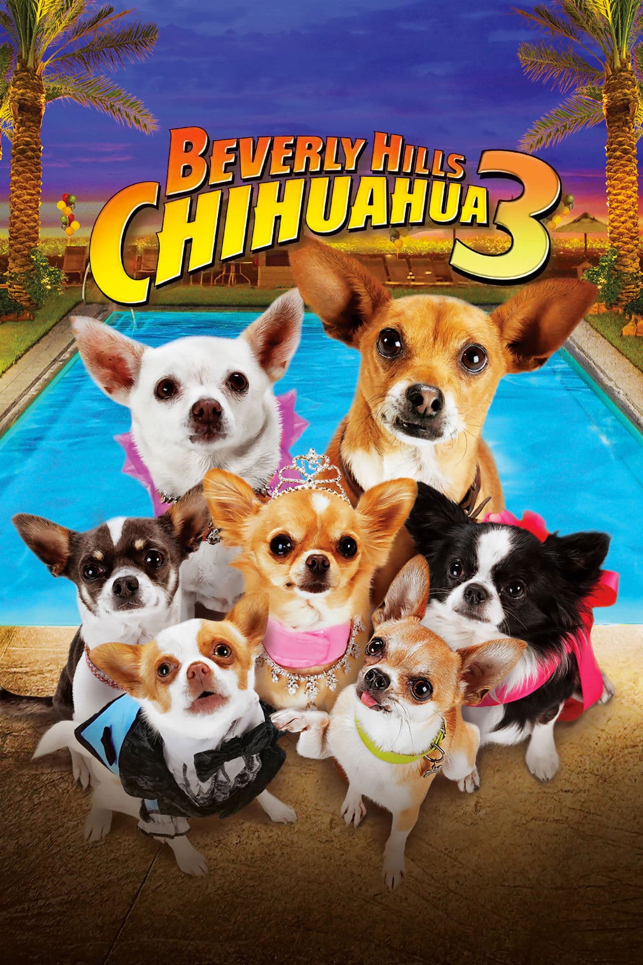 Beverly Hills Chihuahua 3: Viva la Fiesta! preview 2