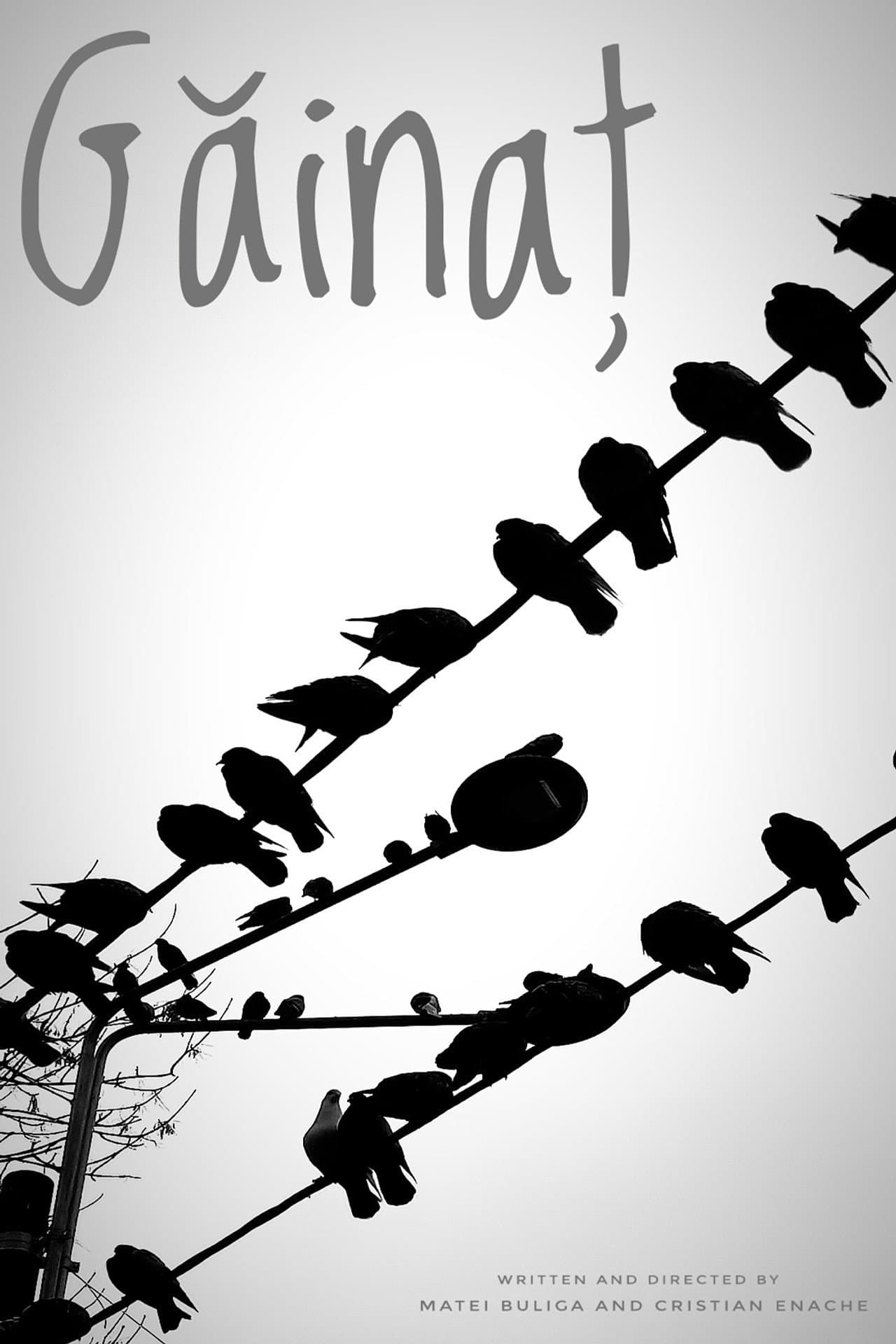 Guano preview 2