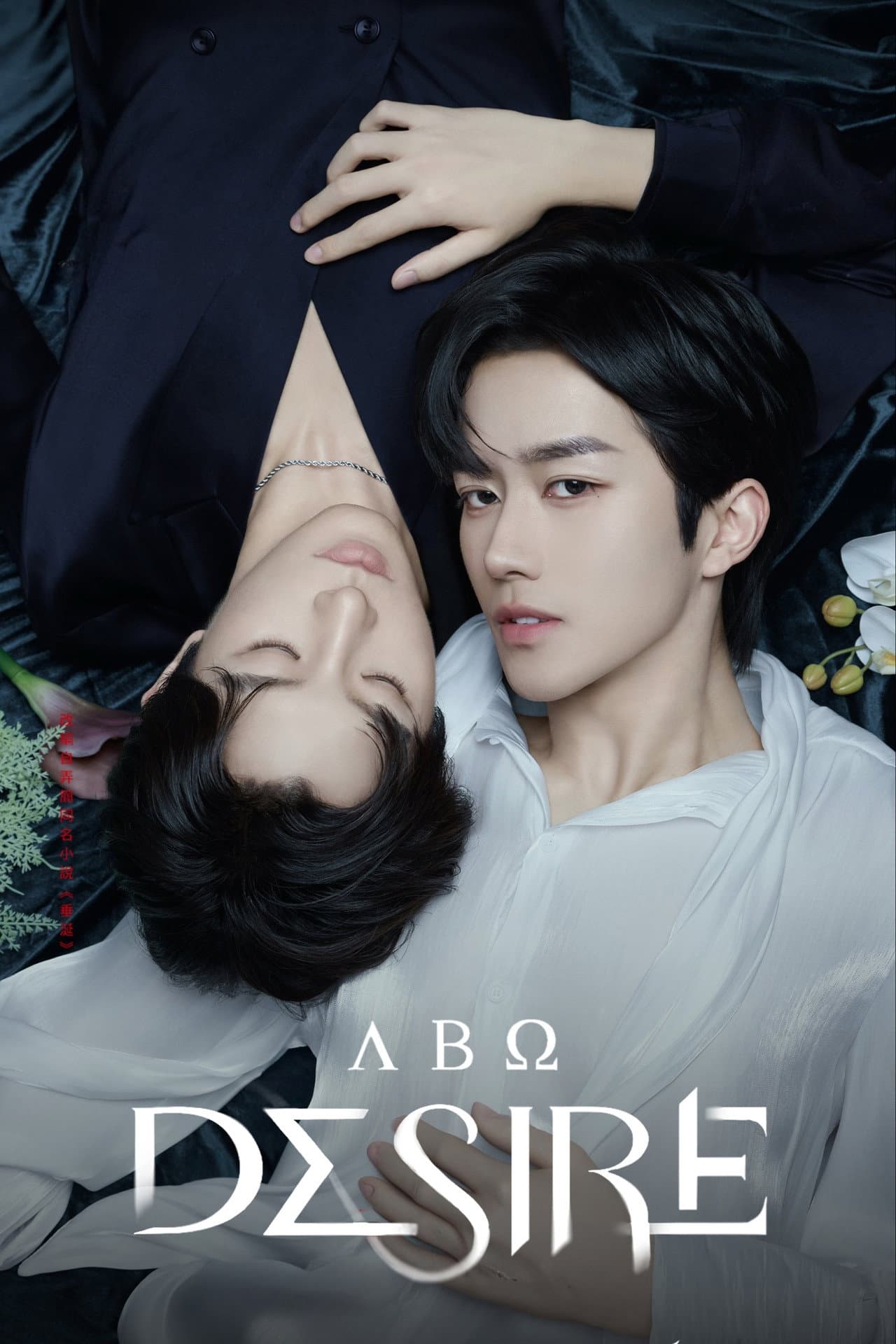 ABO Desire preview 2