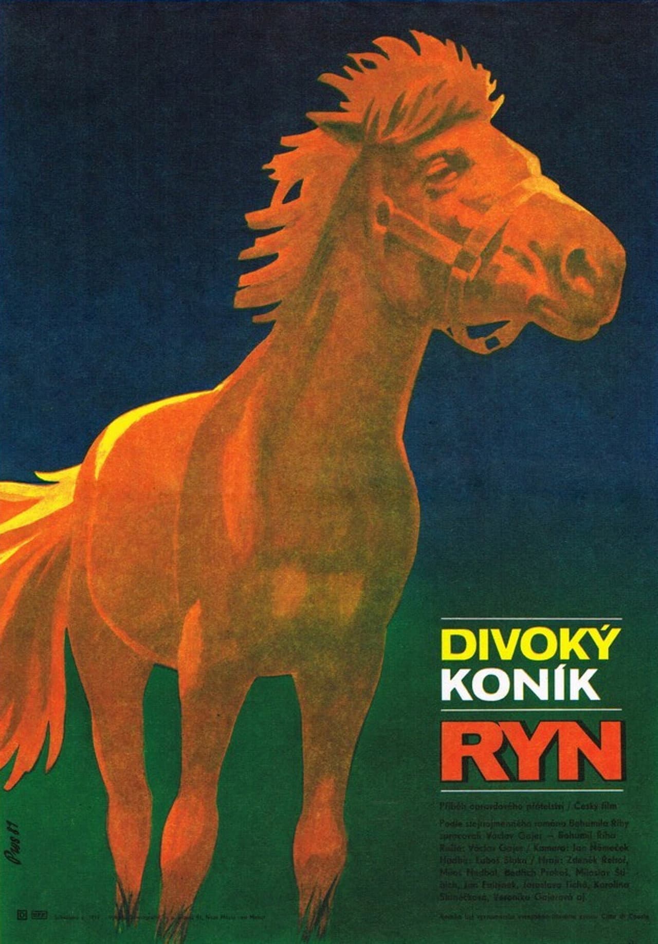 Divoký koník Ryn preview 1