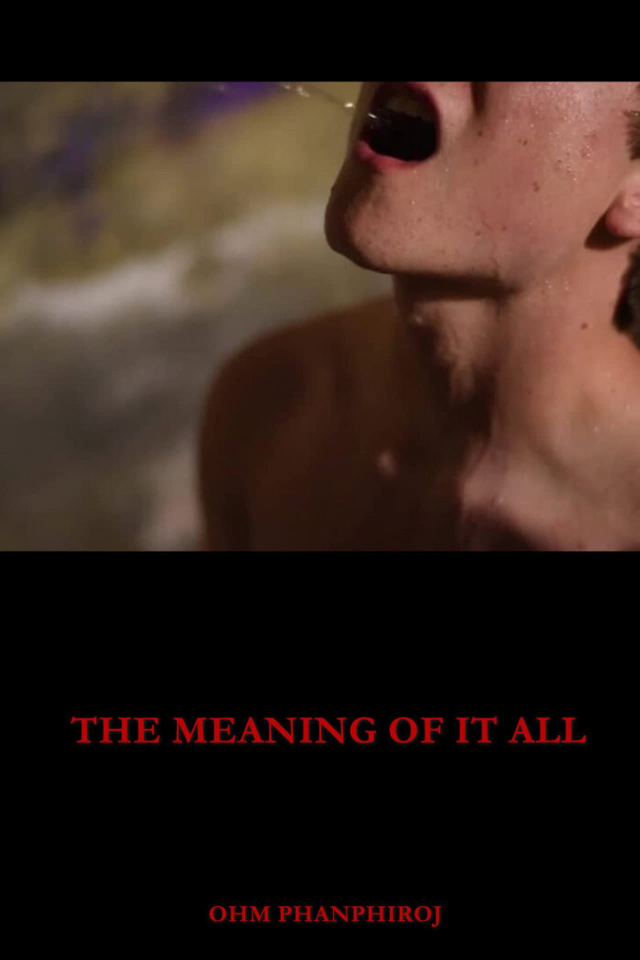 The Meaning of It All preview 2