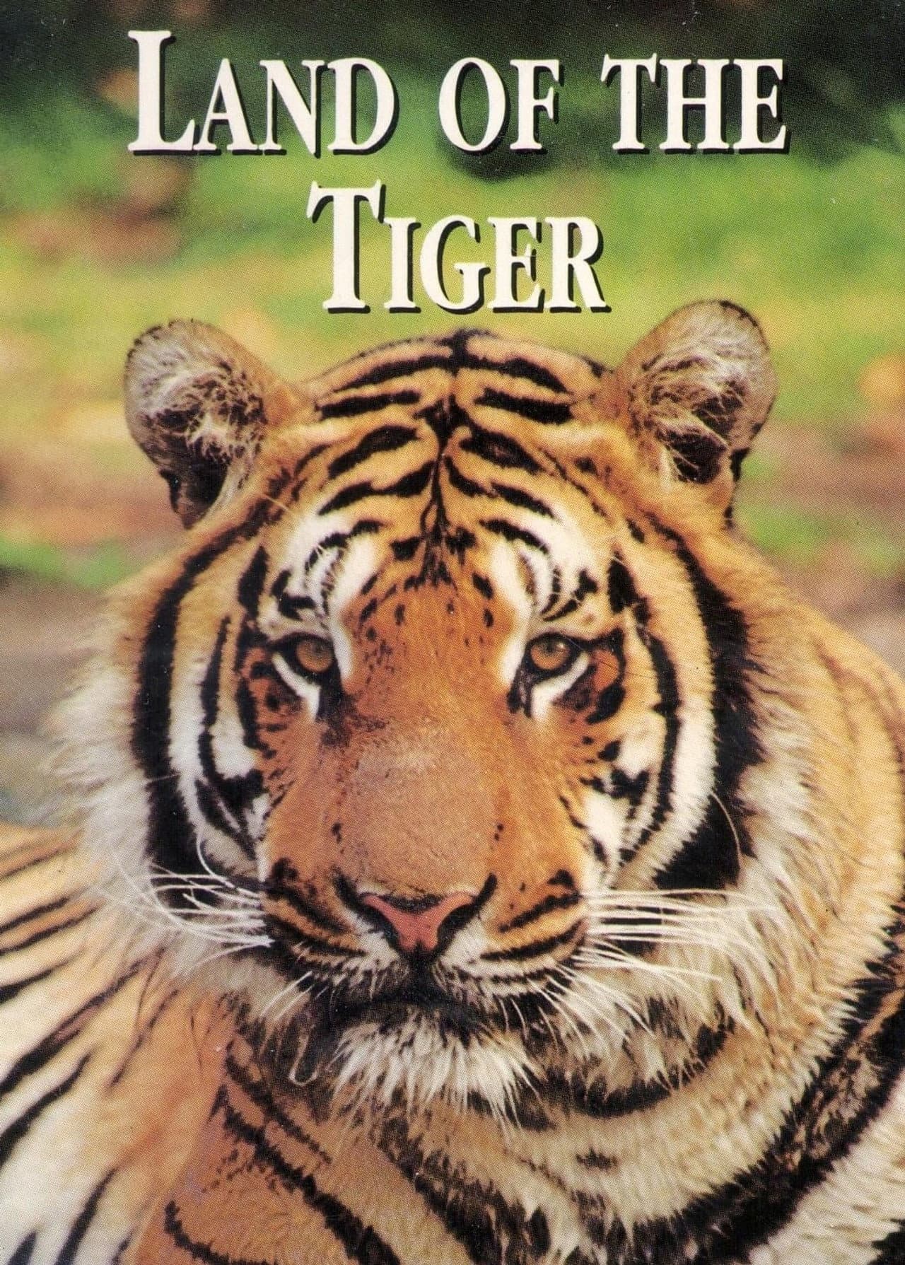 National Geographic: Land of the Tiger preview 1