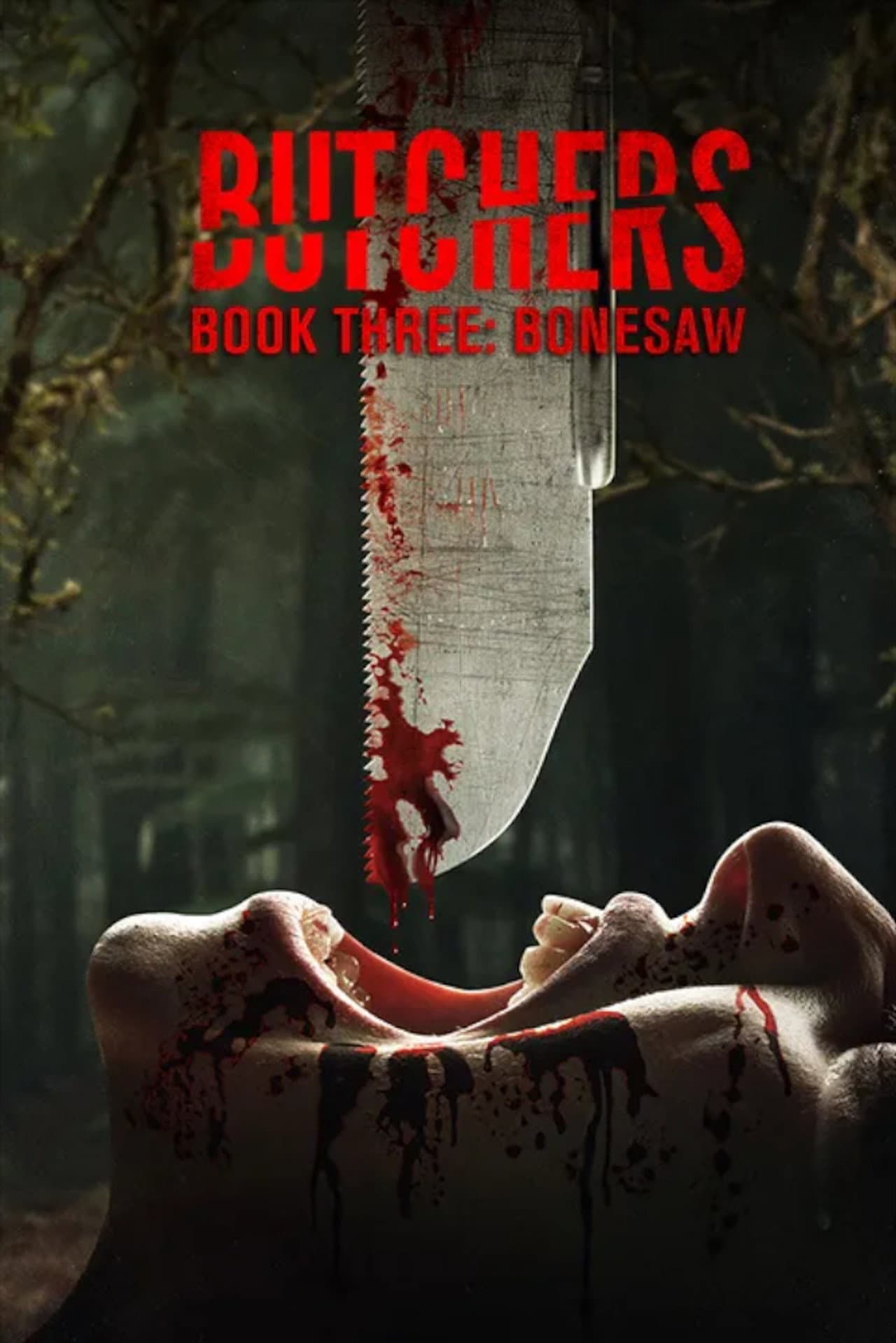 Butchers Book Three: Bonesaw preview 2