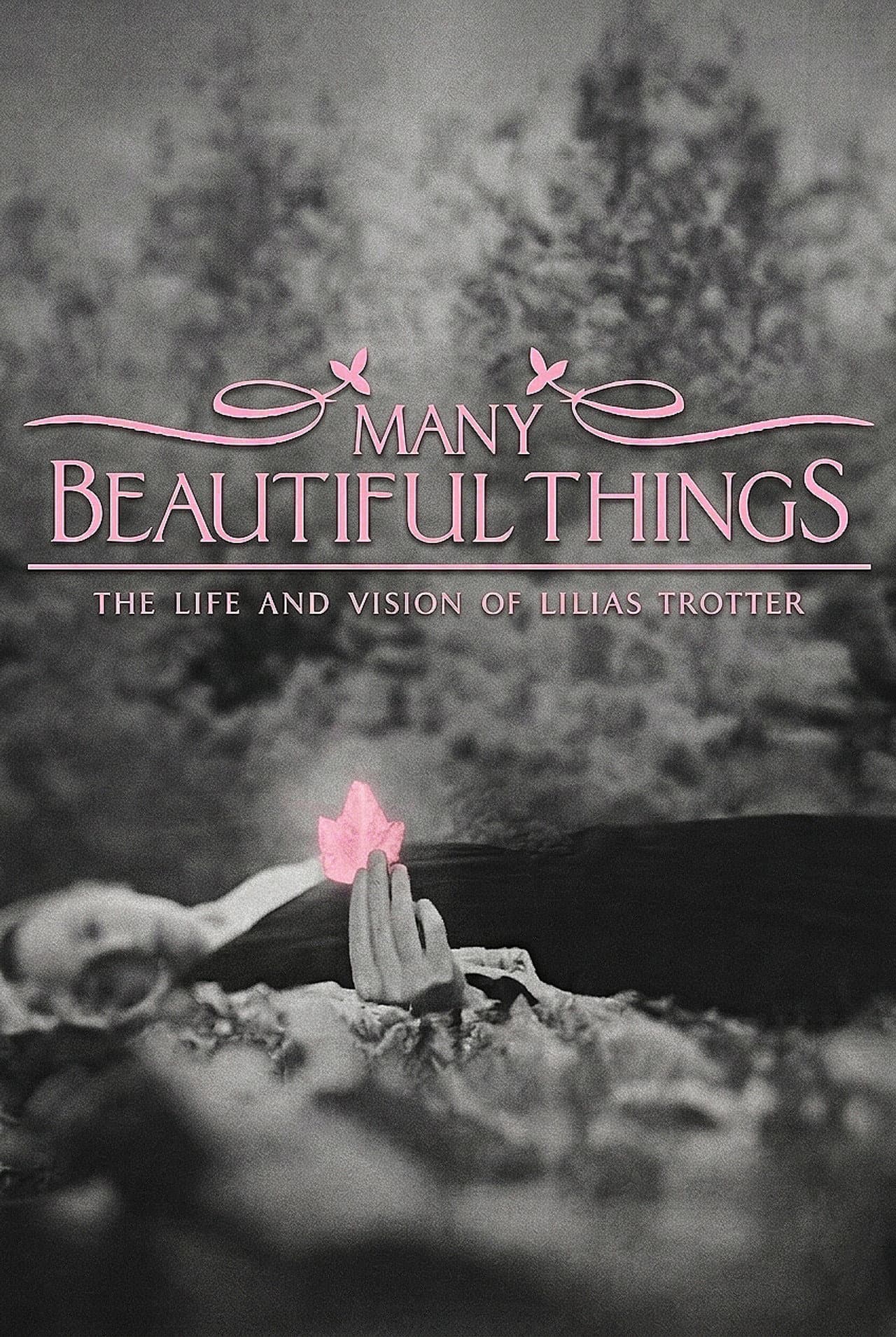Many Beautiful Things preview 2
