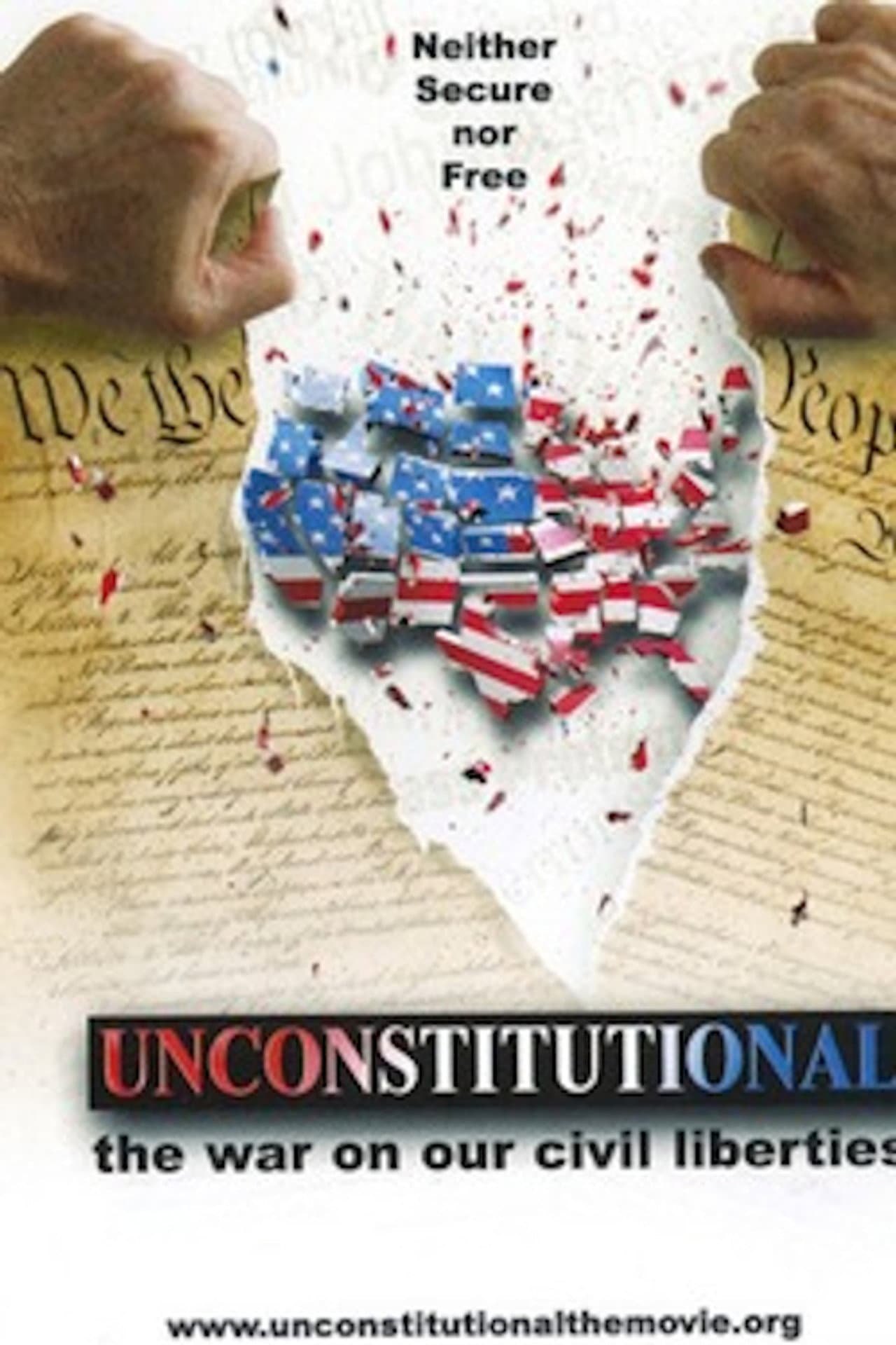 Unconstitutional: The War On Our Civil Liberties preview 1