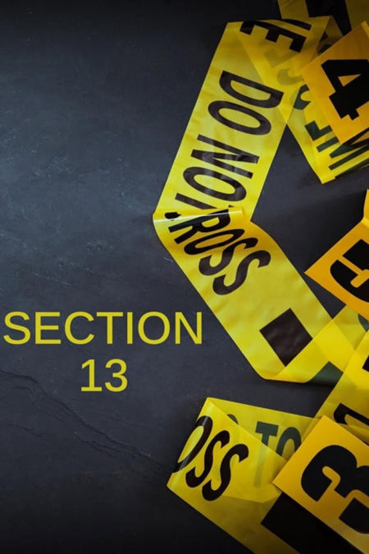 Section 13 preview 1