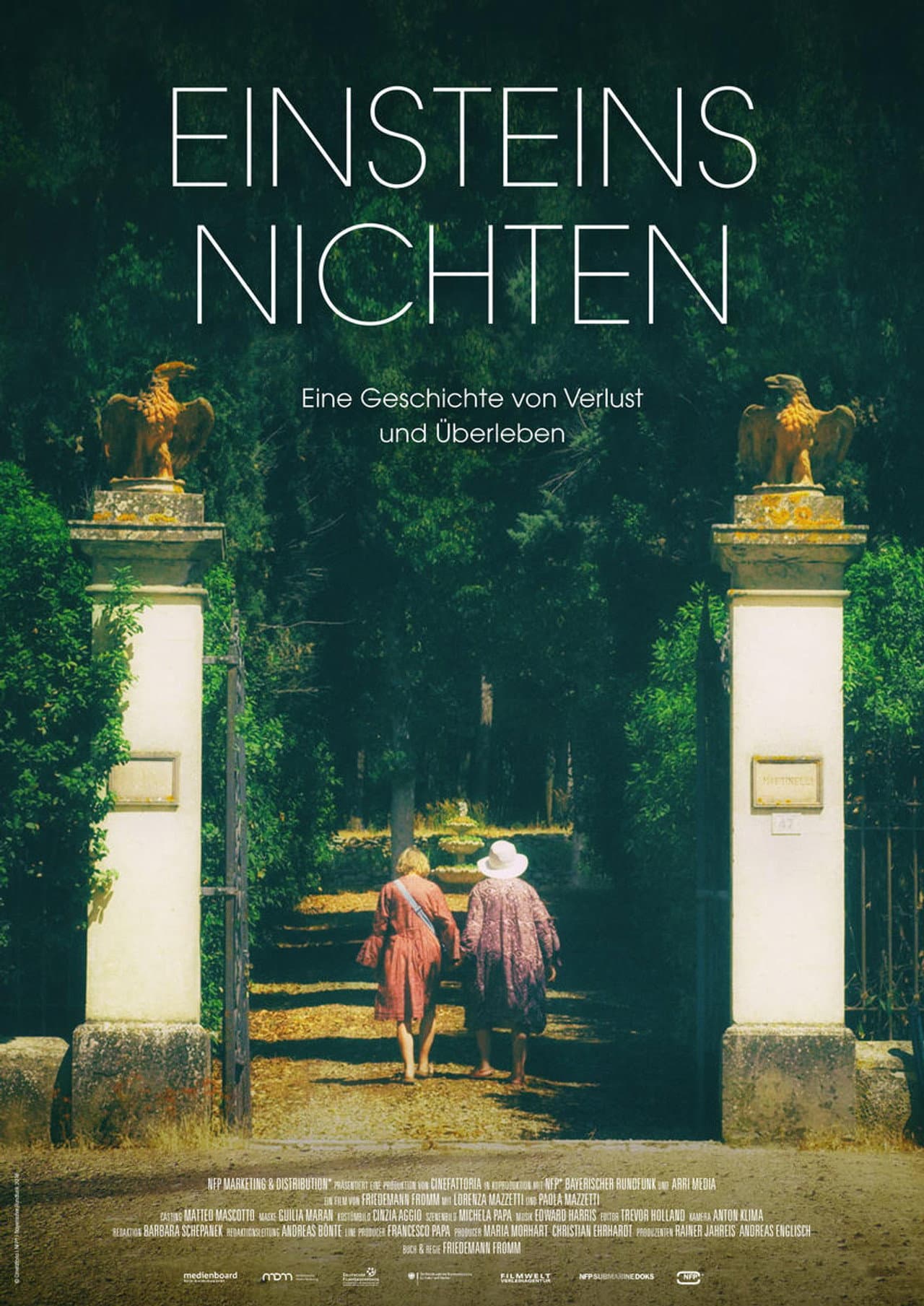 Einsteins Nichten preview 1