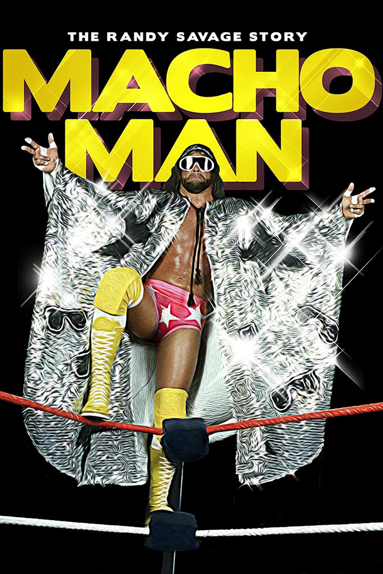 WWE: Macho Man - The Randy Savage Story preview 2
