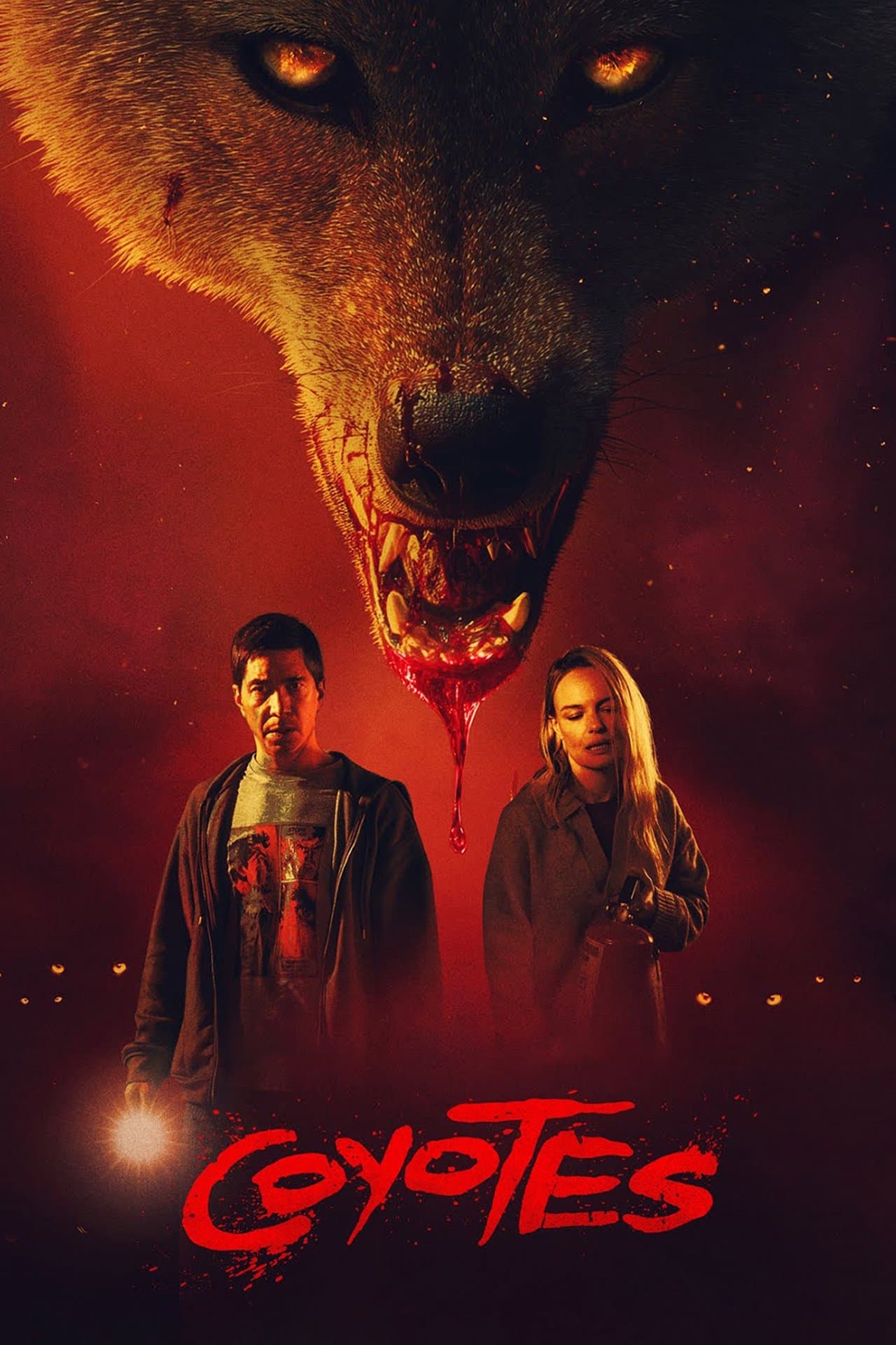 Coyotes preview 2
