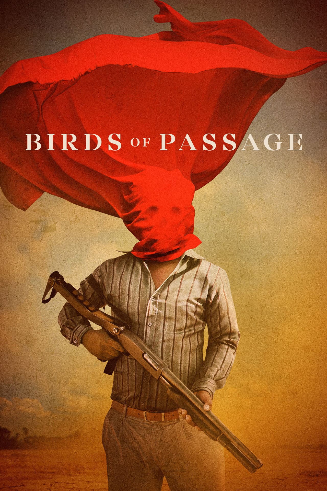 Birds of Passage preview 2