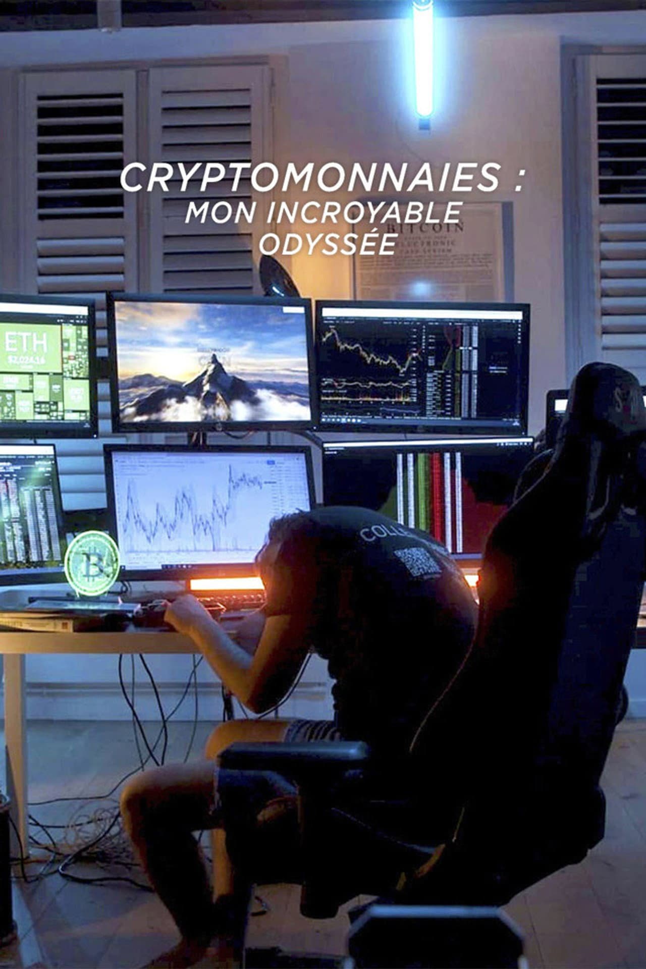 Cryptomonnaies : mon incroyable odyssée preview 2