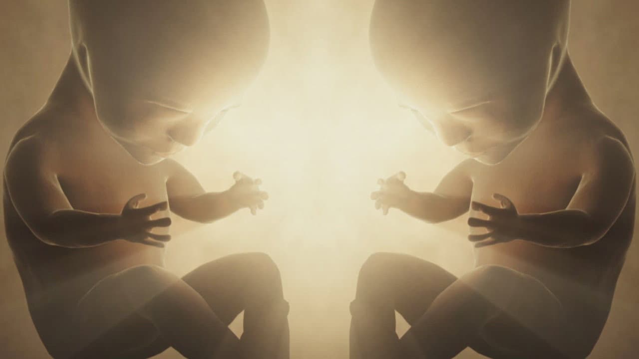 Human Genesis