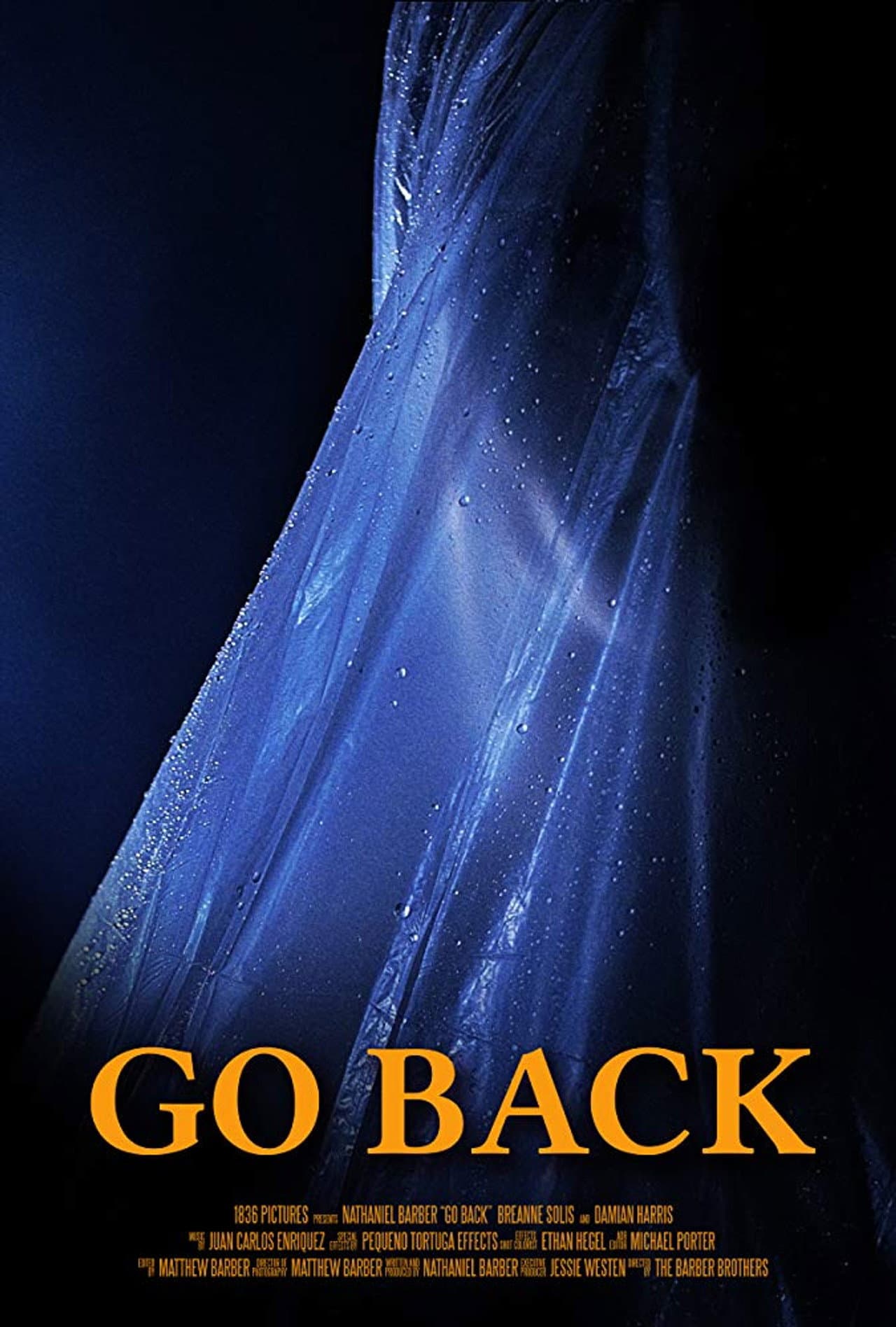 Go Back preview 2