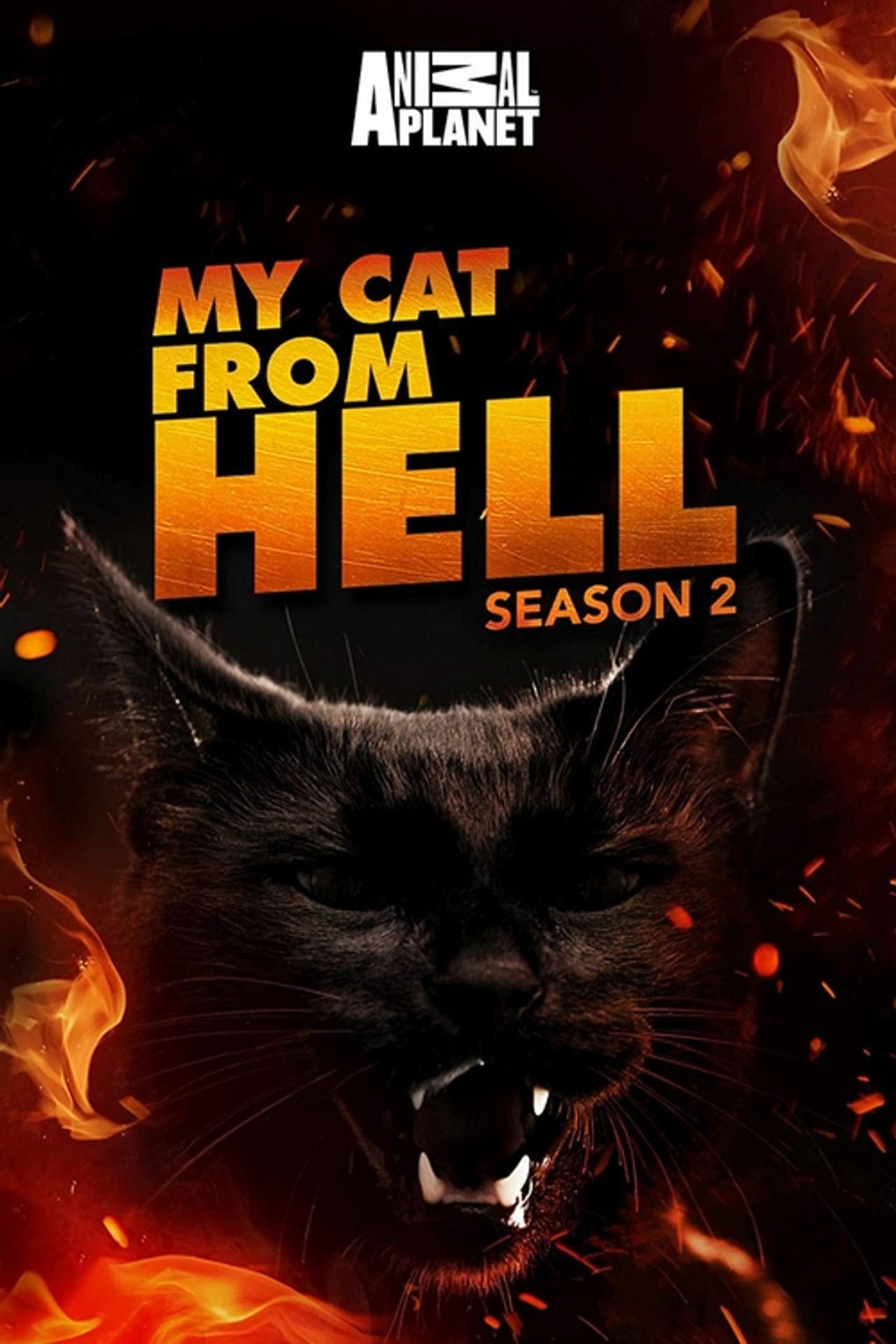 Season 2