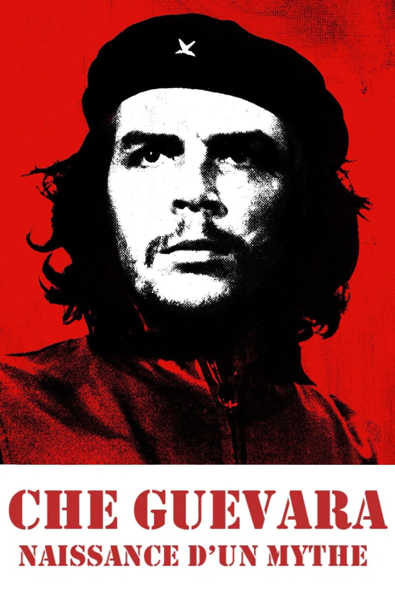 Che Guevara, naissance d'un mythe preview 2