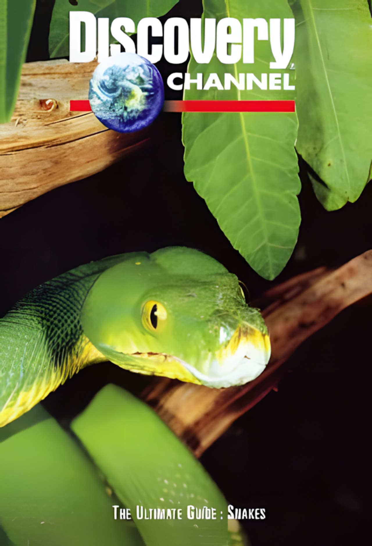 The Ultimate Guide: Snakes preview 1