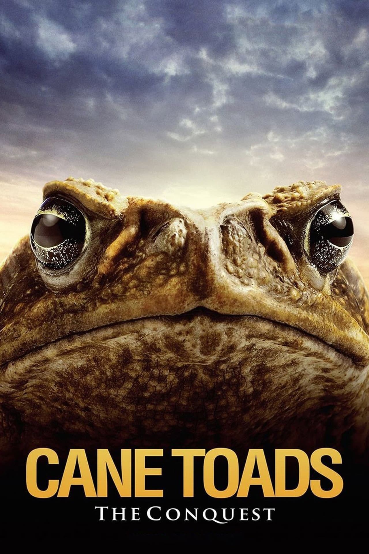 Cane Toads: The Conquest preview 2