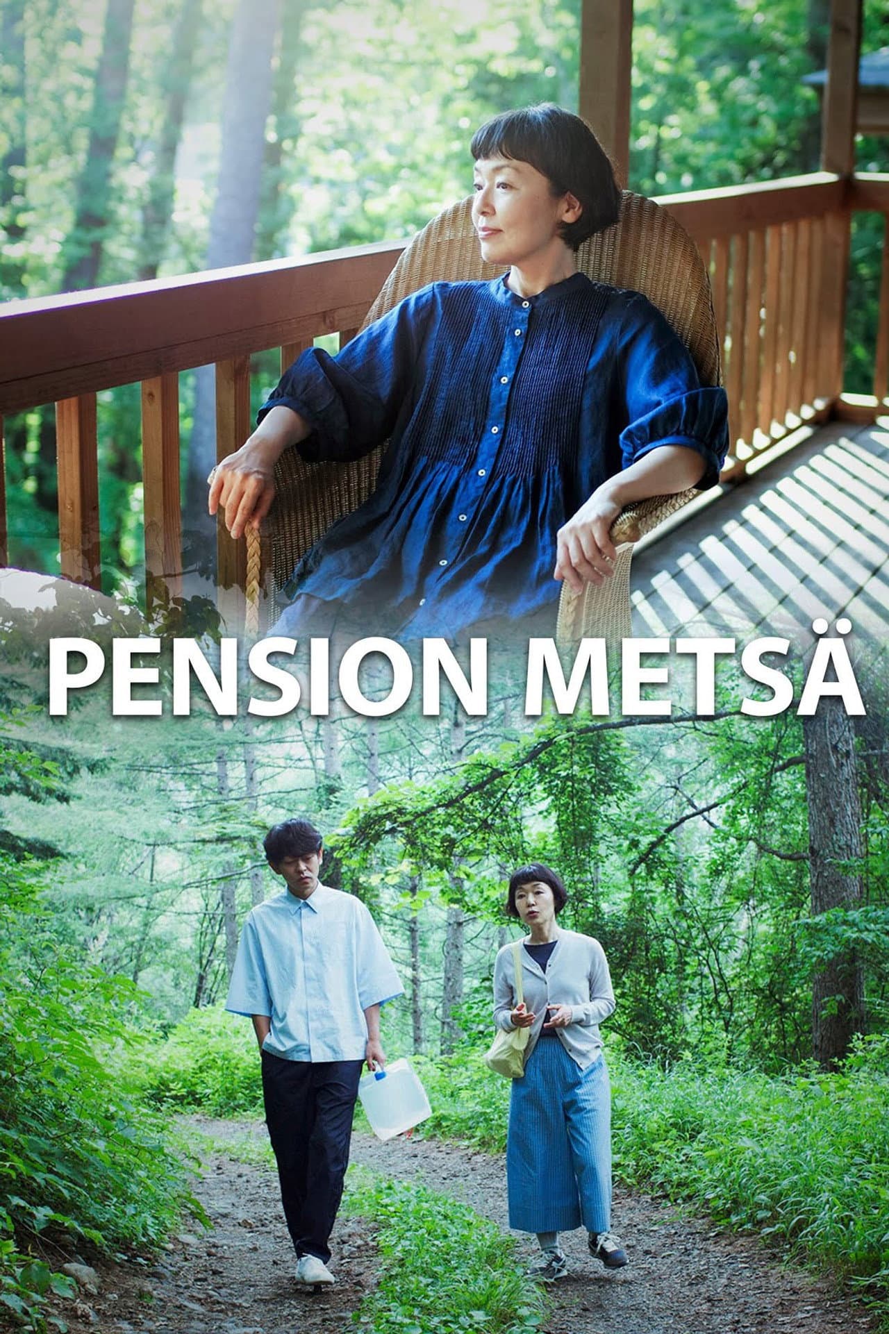 Pension Metsä preview 2