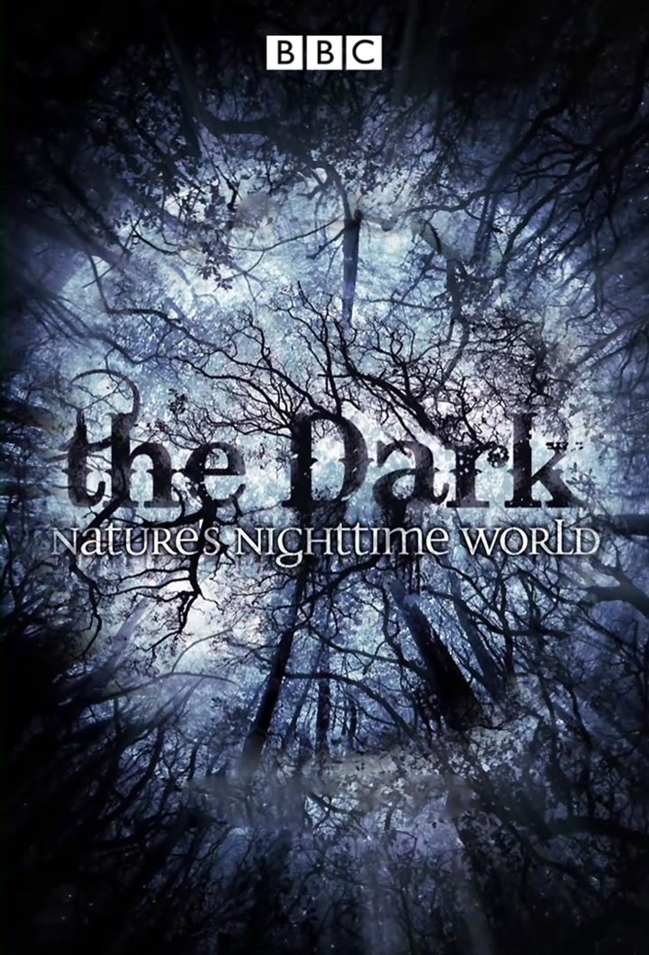 The Dark: Nature's Nighttime World preview 2