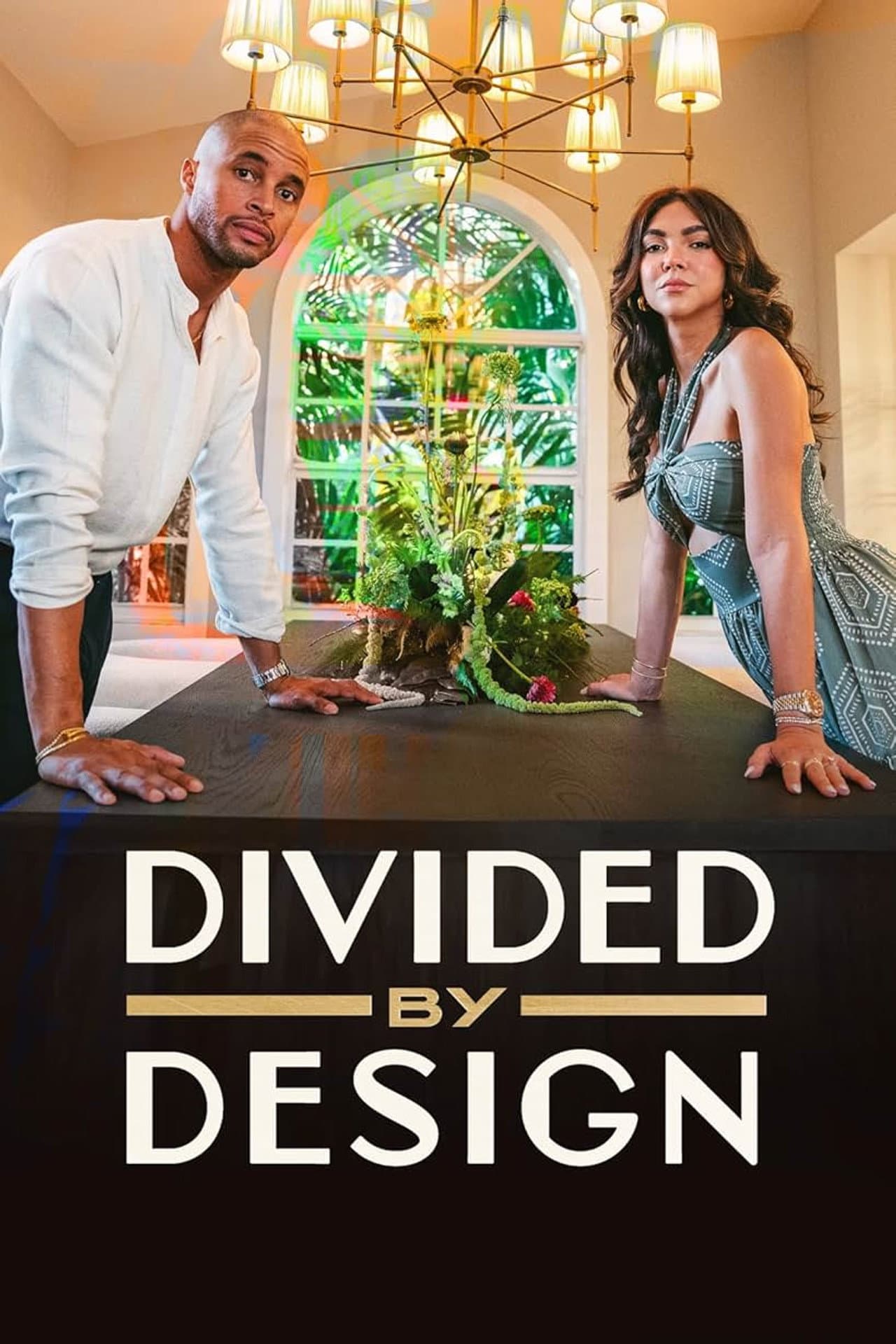 Divided by Design preview 2