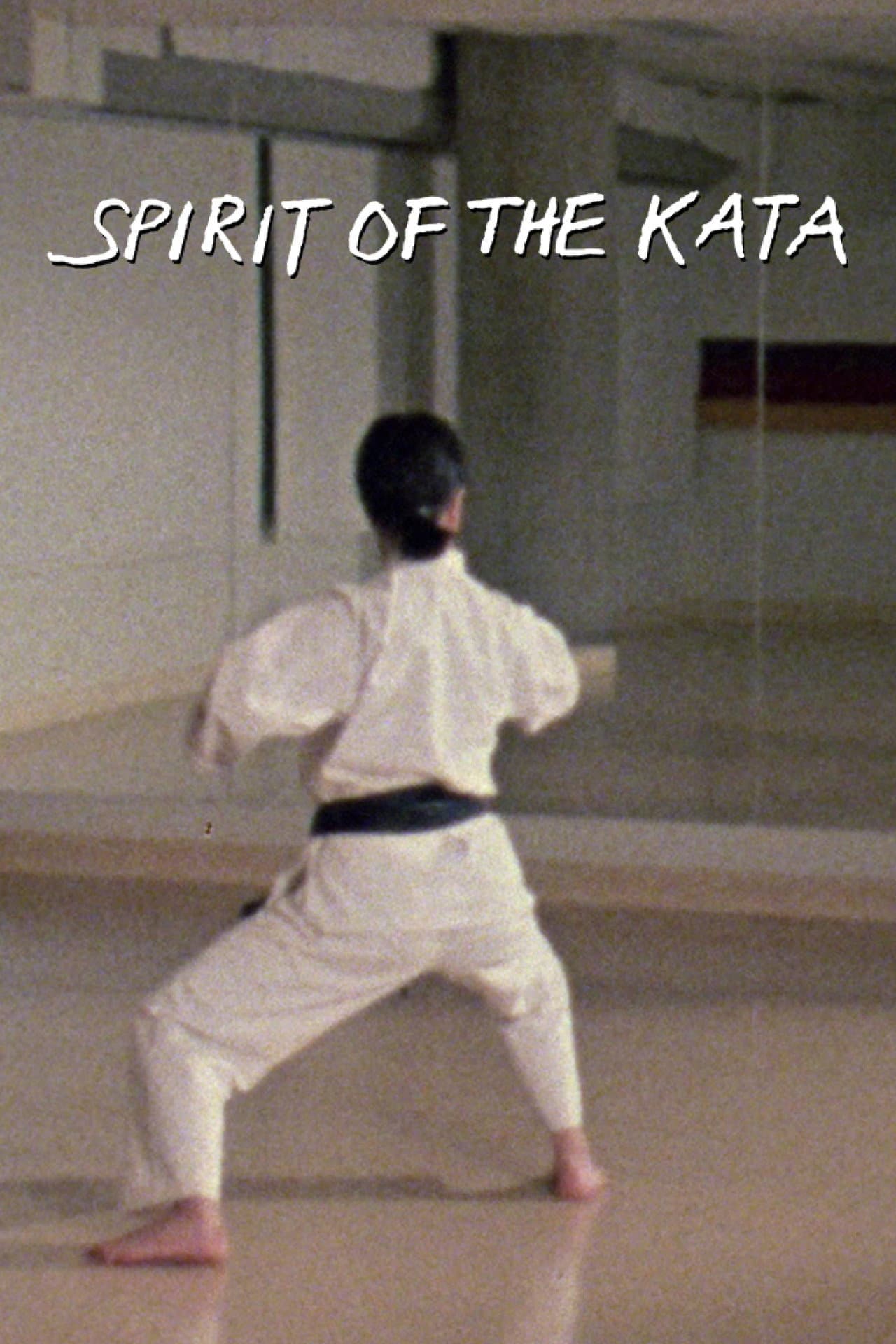 Spirit of the Kata preview 2