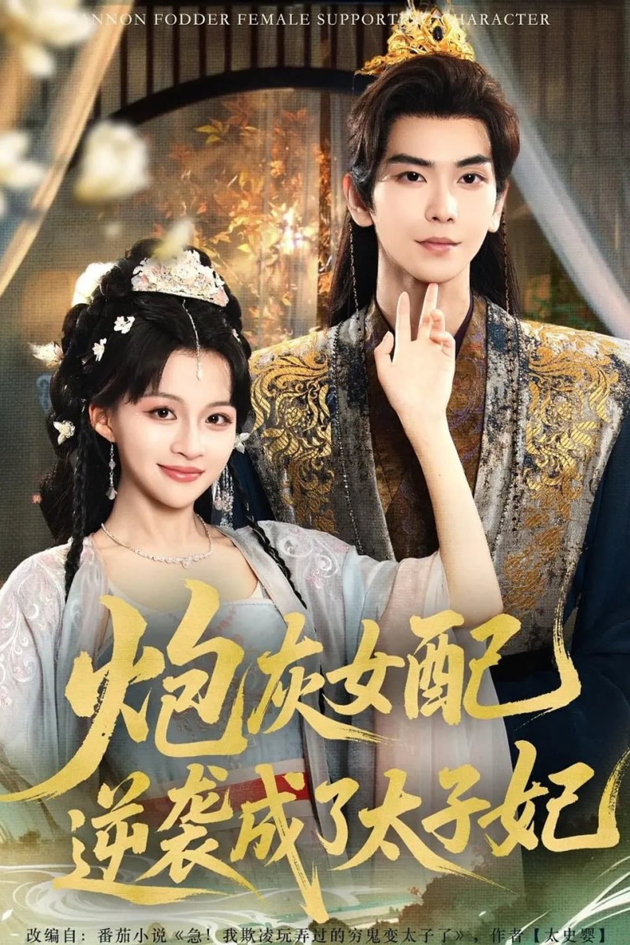 炮灰女配逆袭成了太子妃 preview 2