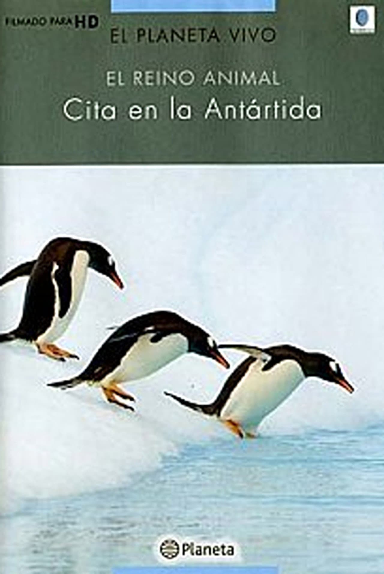 Rush Hour in Antarctica preview 1