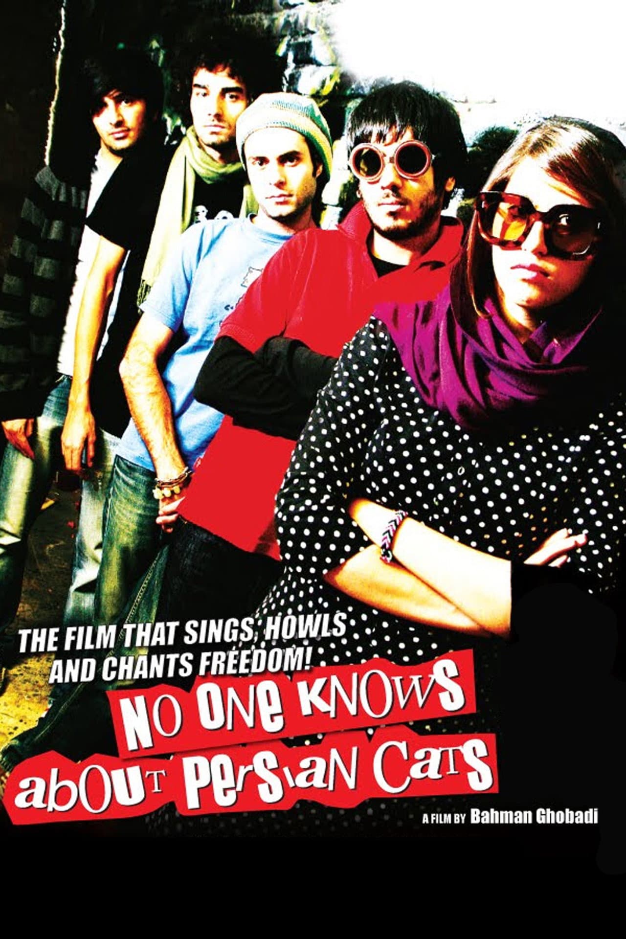 No One Knows About Persian Cats preview 2